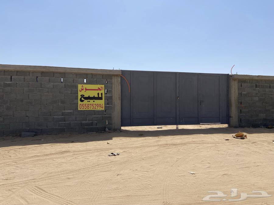 حوش كبير للبيع64151690113794110