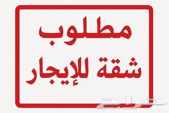 مطلوب شقه للايجار64151686776579110