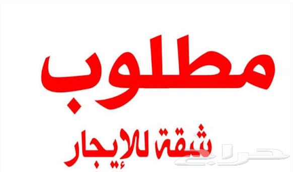 طلب شقة أو ملحق أو اى شئ أنا وزوجتي فقط بسعر ميسور64151901964418110