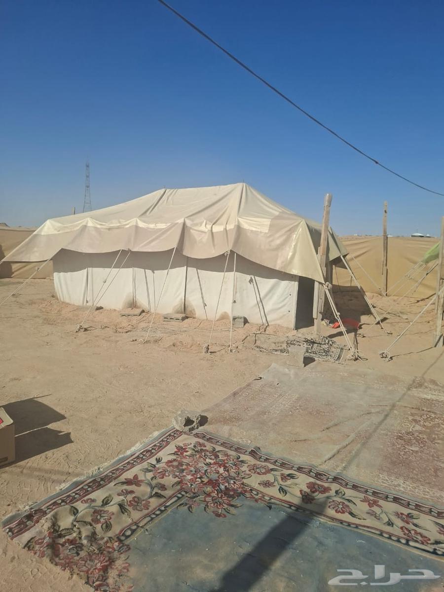 مخيم للبيع بكامل اغراضه64455879988227114