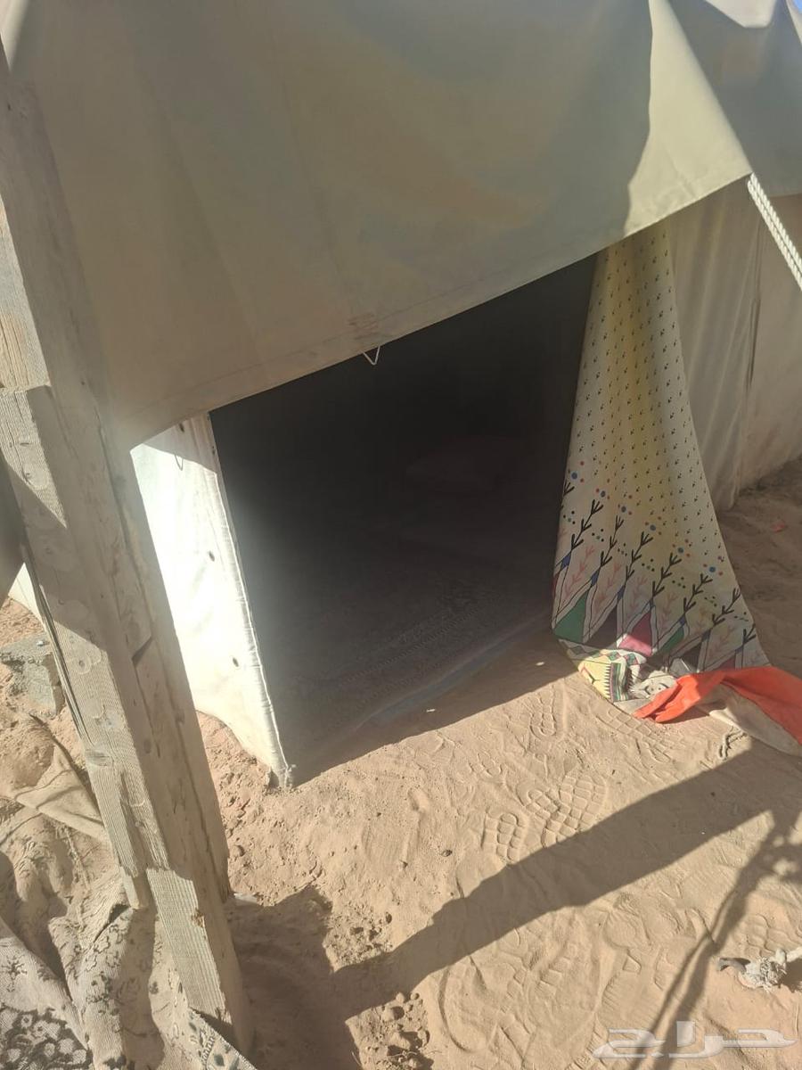 مخيم للبيع بكامل اغراضه64455879988227113