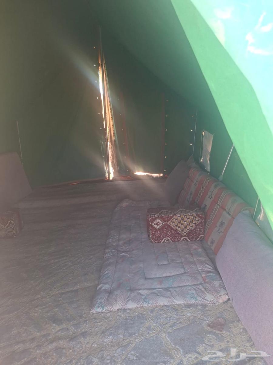 مخيم للبيع بكامل اغراضه64455879988227111