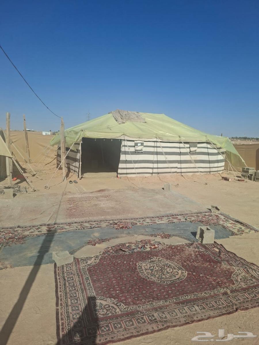 مخيم للبيع بكامل اغراضه64455879988227112