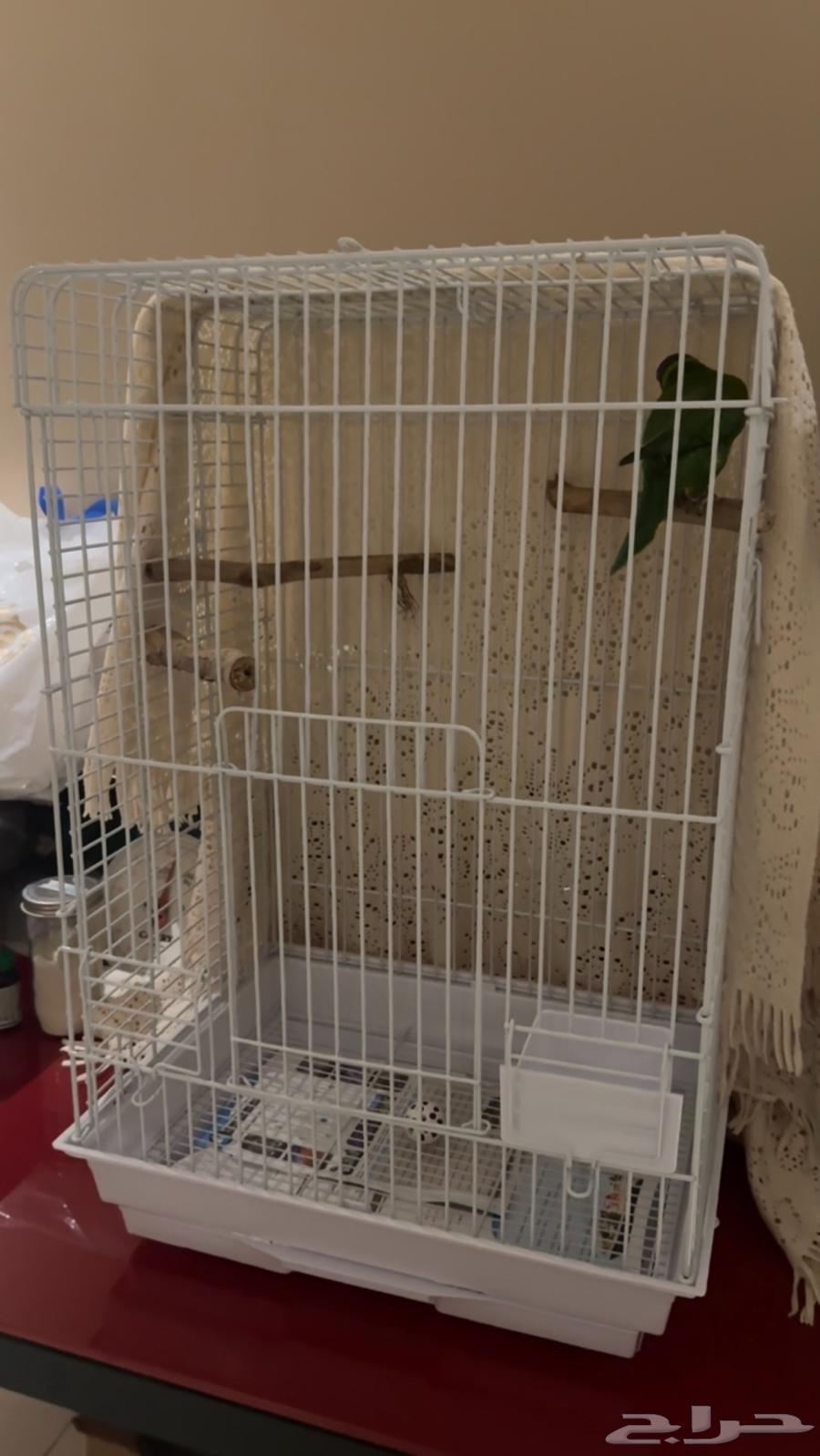 قفص طيور كبير64468552785666110