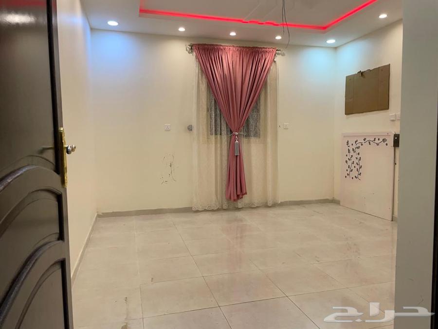 شقة في العمرة الجديدة للايجار64152331167105114
