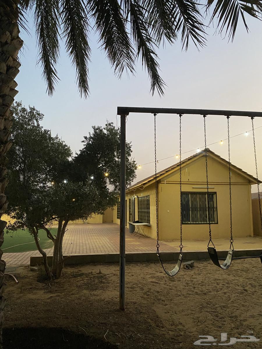أستراحة فآطمه الريفية للإيجار اليومي64152329159169110