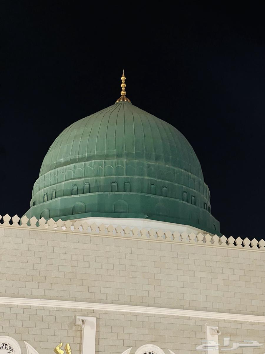محل ورد للتقبيل64152126983170111
