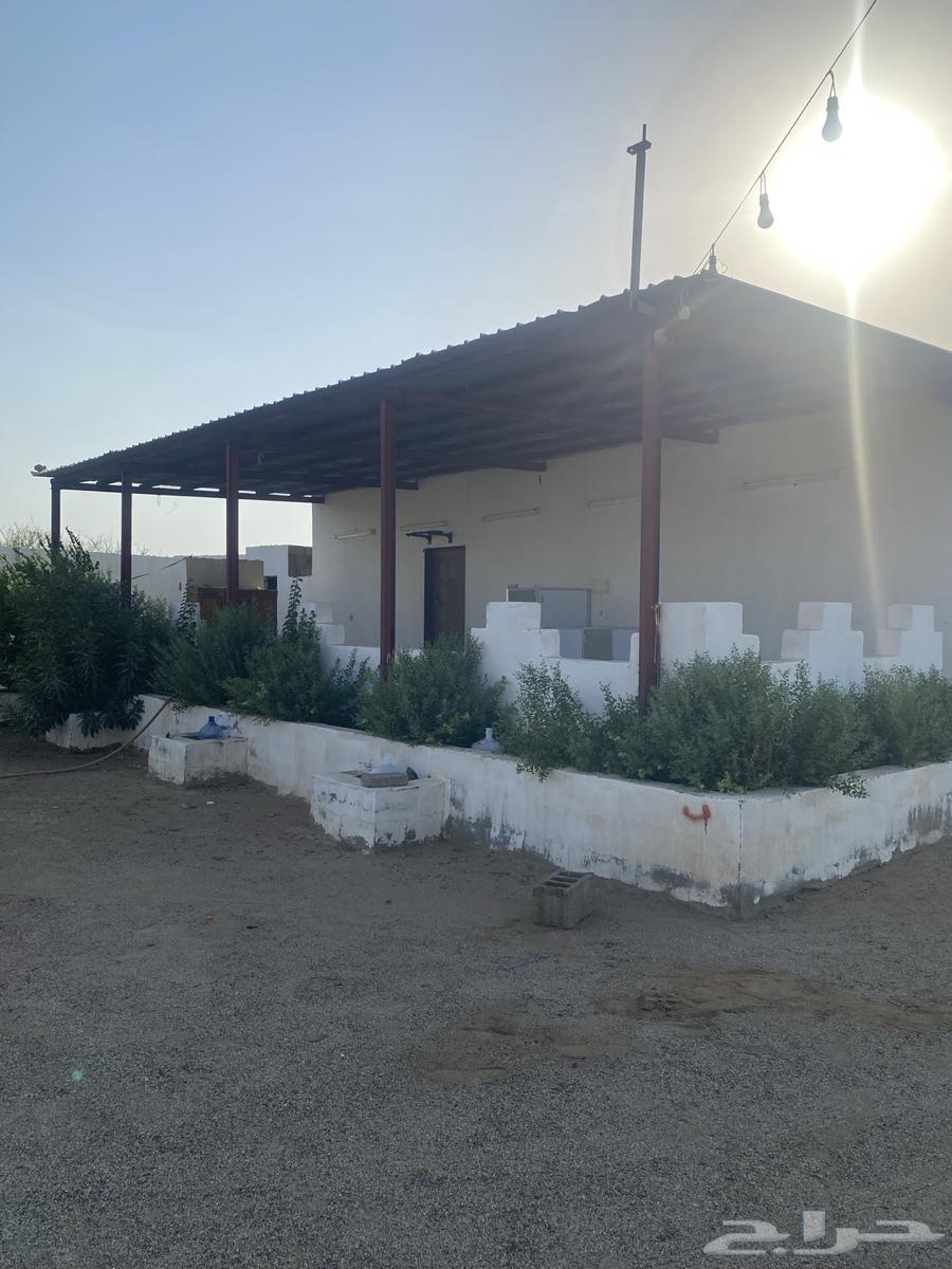 Rest house for rent, location Hada Al-Sham64152330204291110