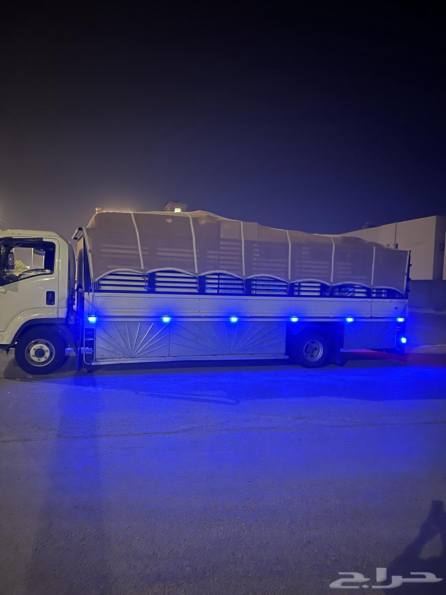 دينا كبير 7 متر للمشاوير64175973746306112