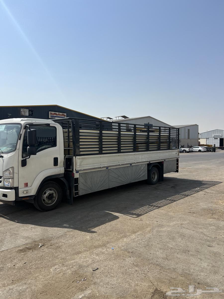 دينا كبير 7 متر للمشاوير64175973746306110