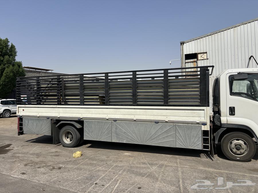 دينا كبير 7 متر للمشاوير64175973746306111