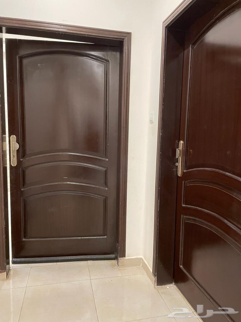 شقة في العمرة الجديدة للايجار64152331167105110