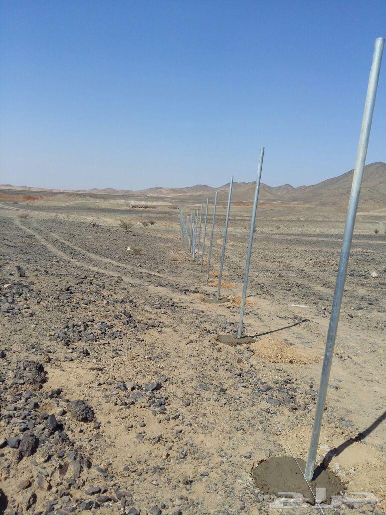 مقاول شبوك64175012395394113