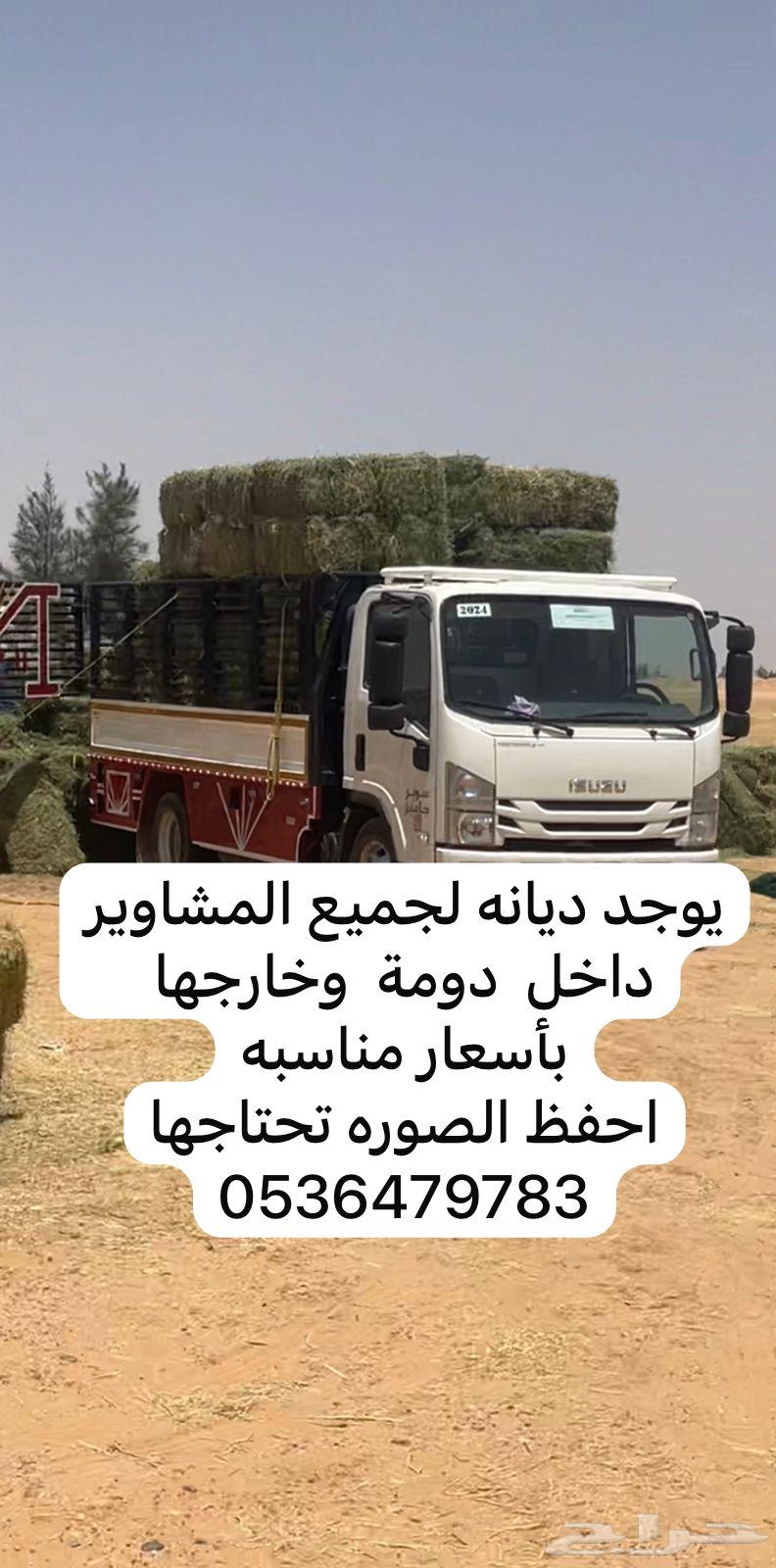 ديانه للمشاوير64176177498626110