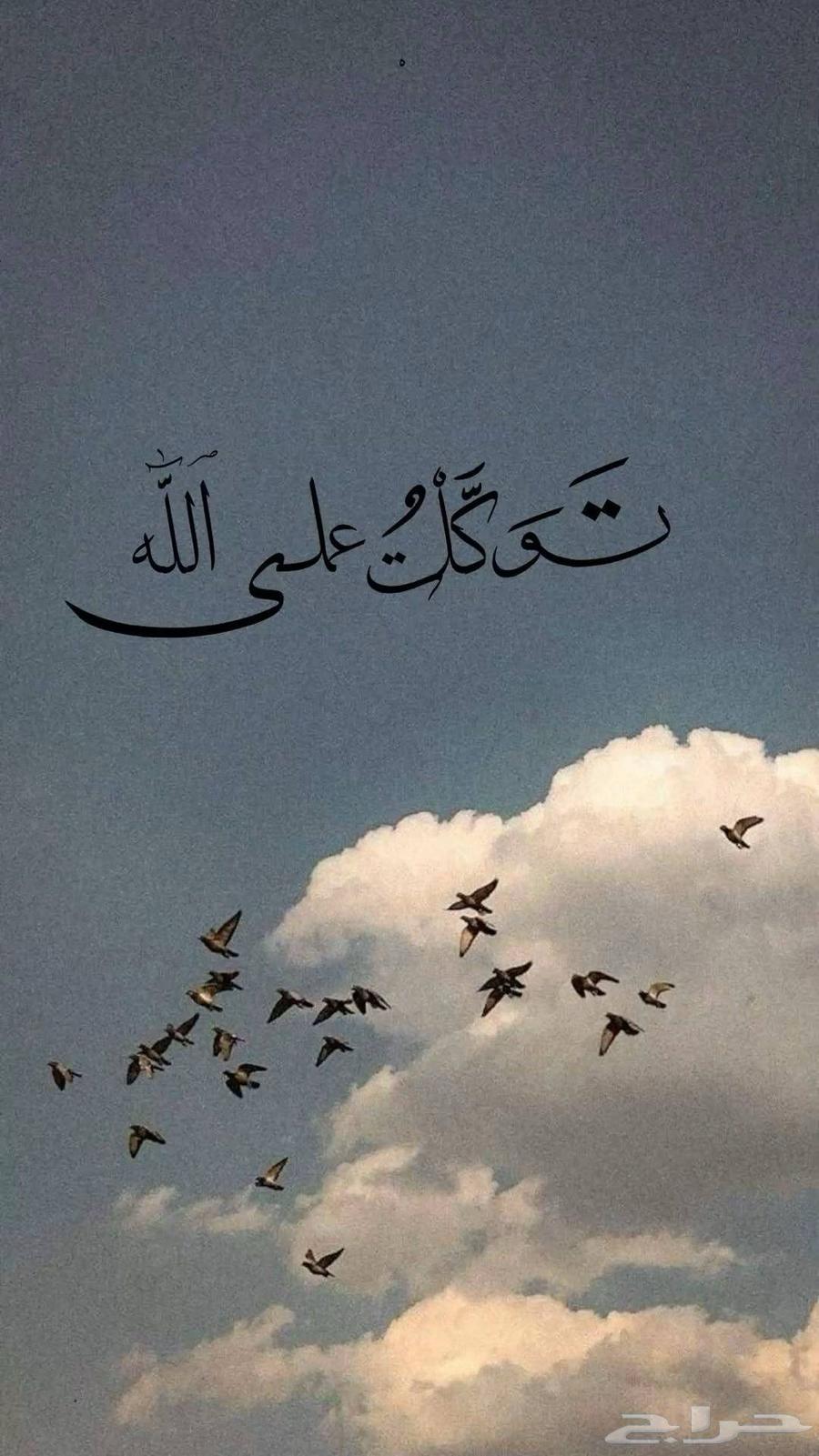 مشاوير داخل جده او خارجها64178203707522110