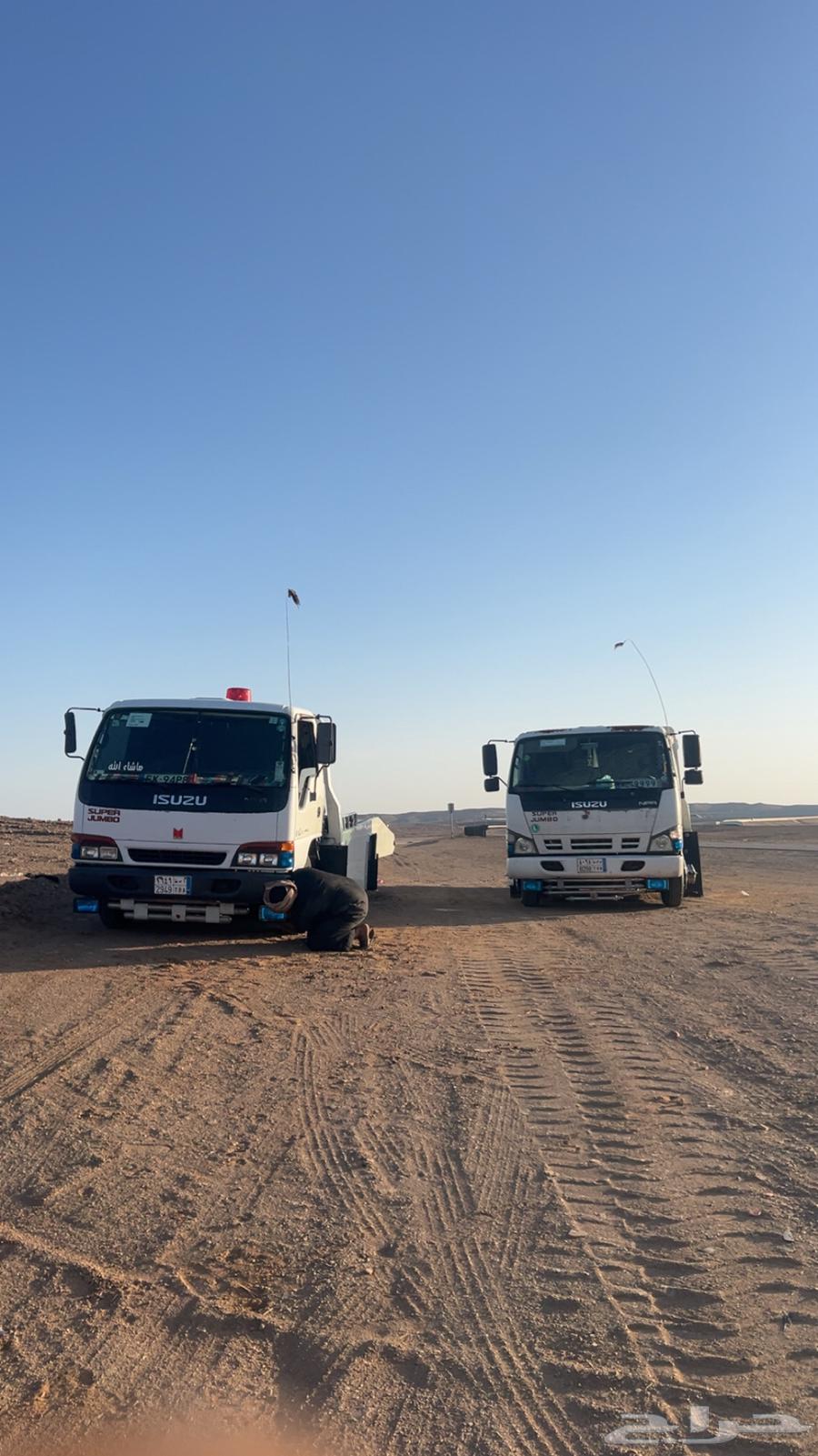 سطحه تبوك64178203084162110