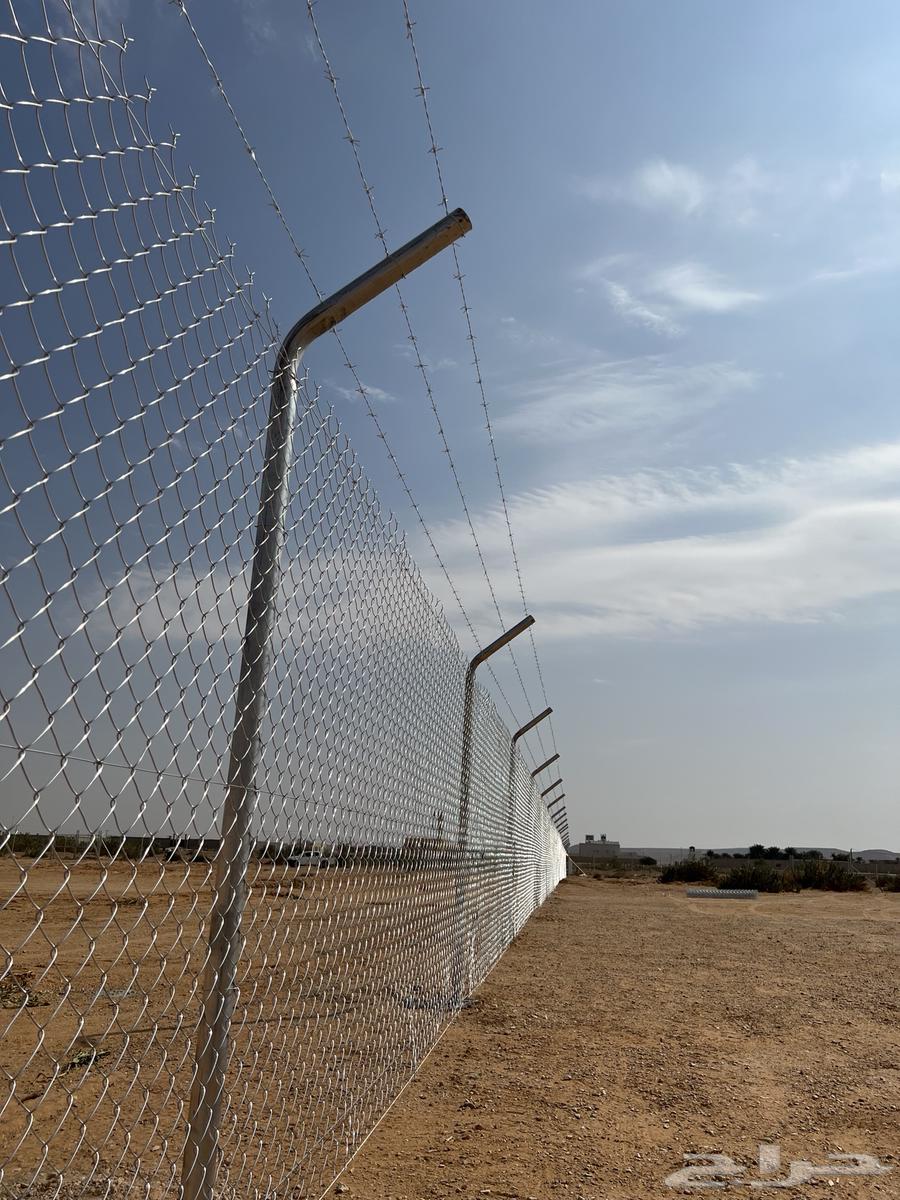 شبوك مزارع المجمعه64177778295298114