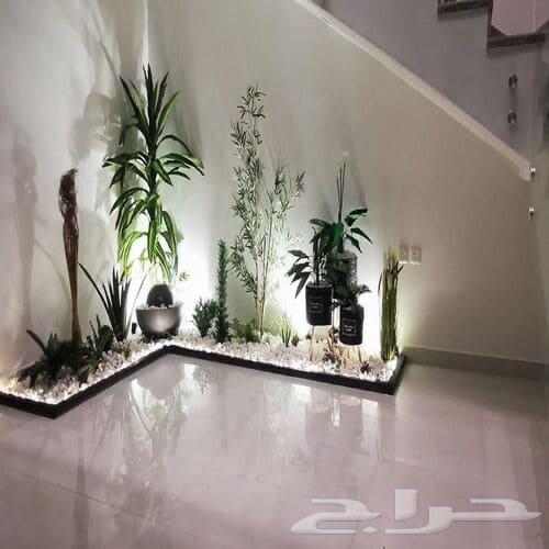 تنسيق الحدائق المنزلية64178199855233112