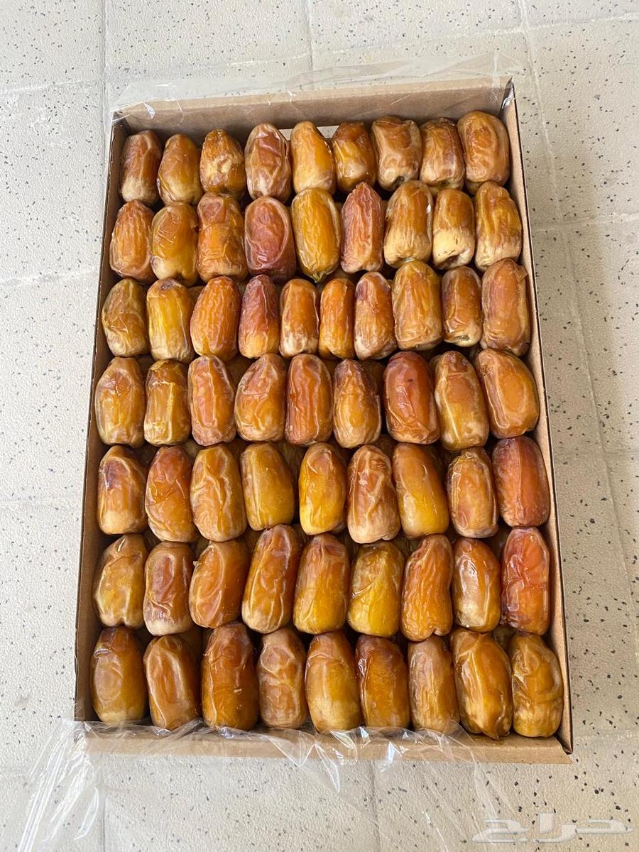 Jumbo Majdool, Grade 1, Grade 3, and Sukkari from our farms' production 2025-144764420742779650112