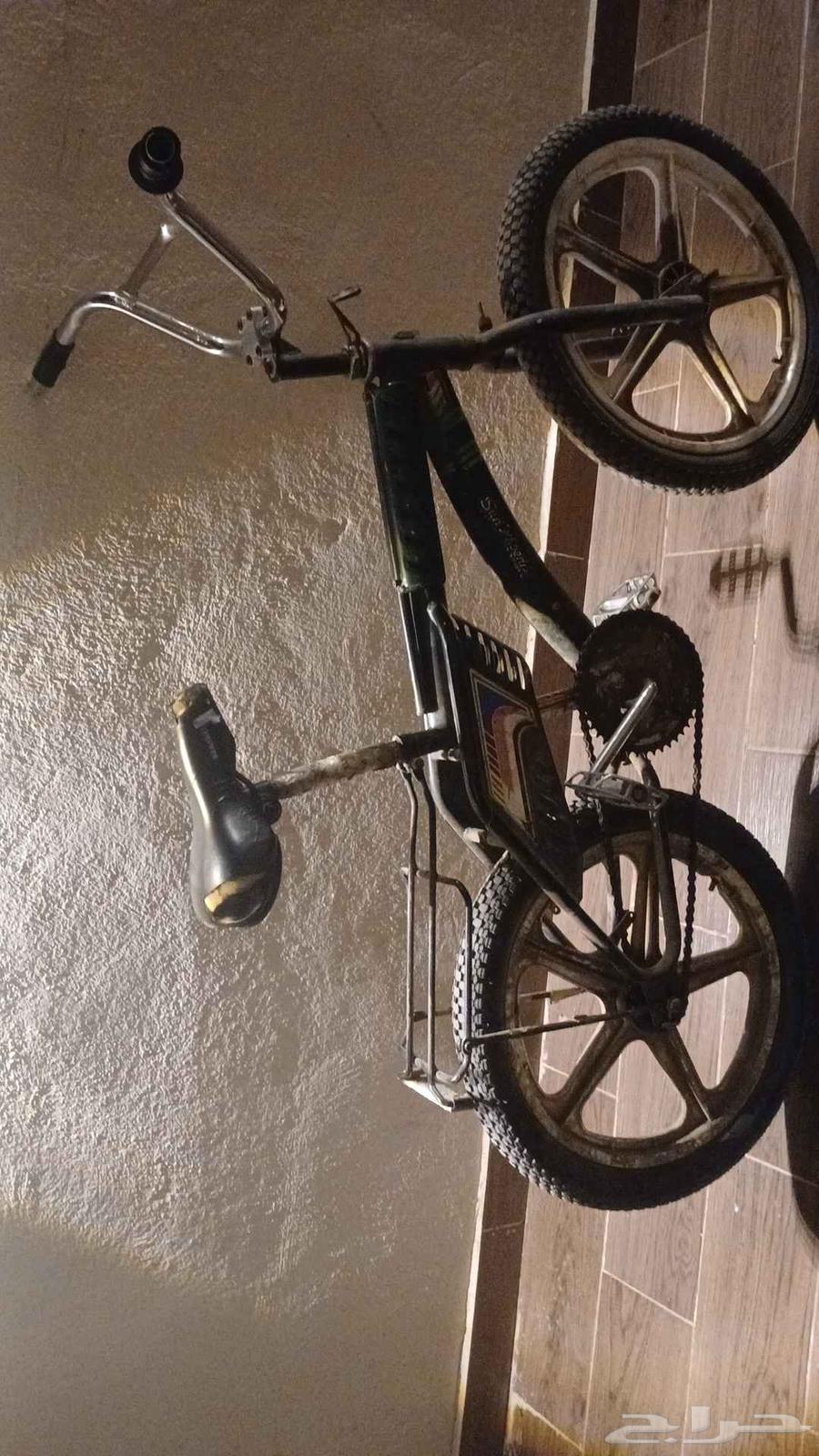 سيكل رامبو السعر 200 الرقم64655070398211112