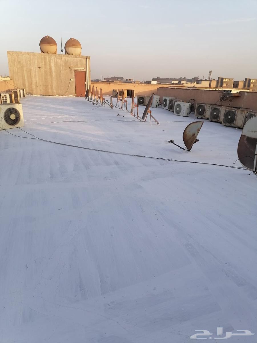 صباغ دهن بويات الخبر والدمام64164981029249114