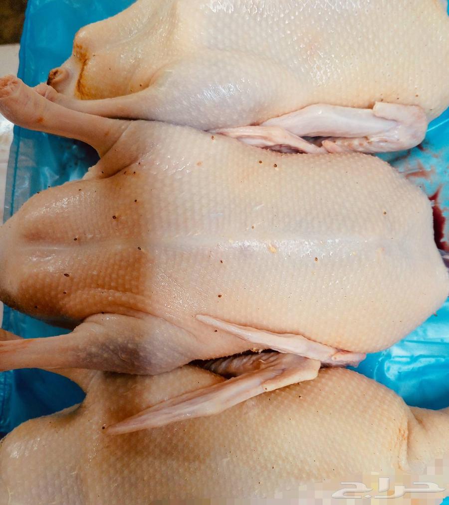 For sale meat chickens, ducks, well-fed and clean64521283079171113