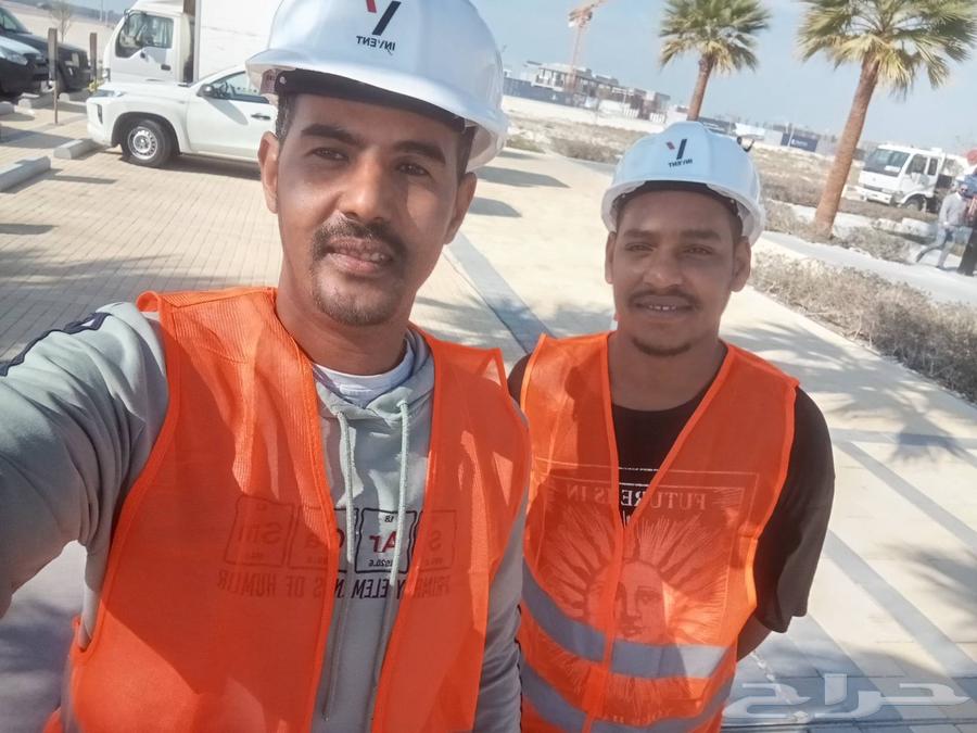 عمال يومية تحميل وتنزيل وتكسير ونظافة64165200712193110