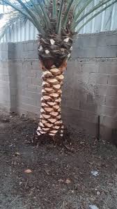 Irrigation Network64165199639171114