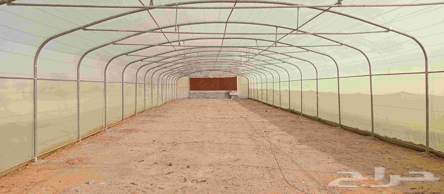 معلم بيوت محميه فق تركيب و صالات الزراعية64143755422209114