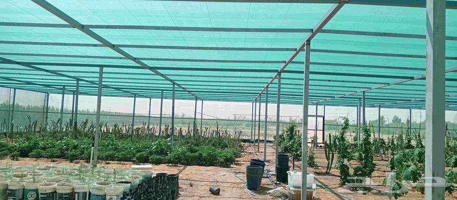 معلم بيوت محميه فق تركيب و صالات الزراعية64143755422209113