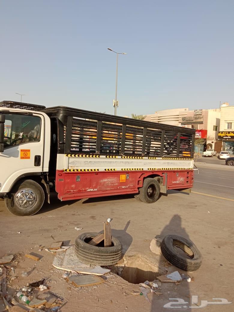 نقل عفش فك وتركيب64404556235649110