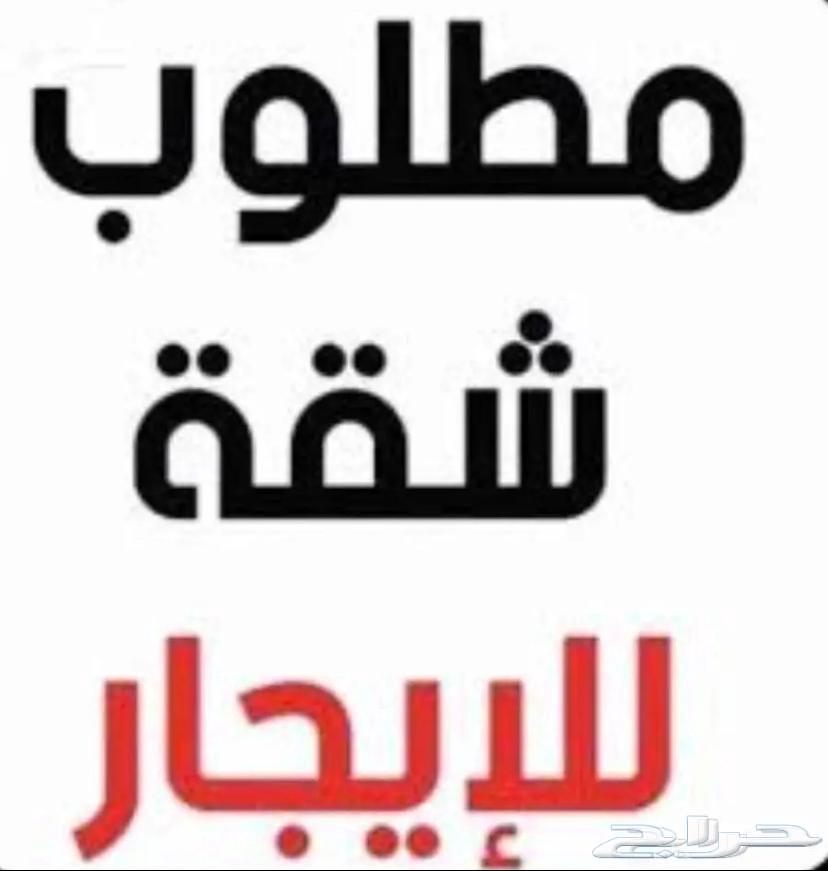 مطلوب شقة مؤثثة بغرفة واحده في المروة64148940392066110