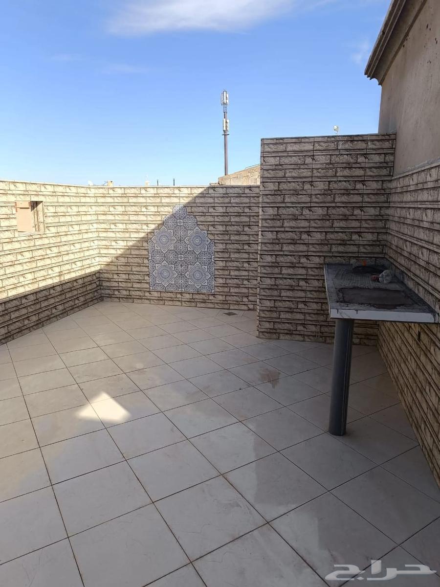 202564165607519746113