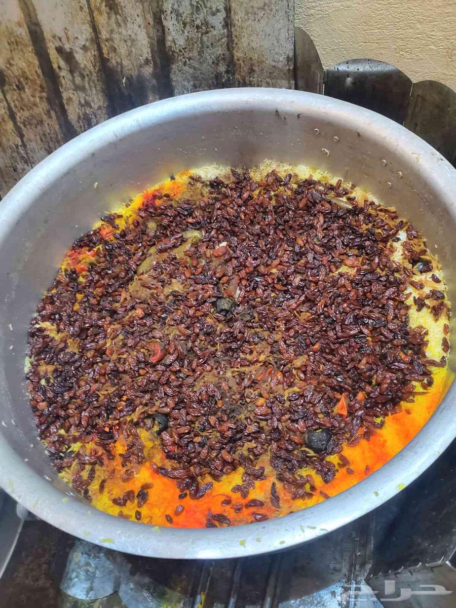 طباخ متنقل مع الاغراض64178836376577114