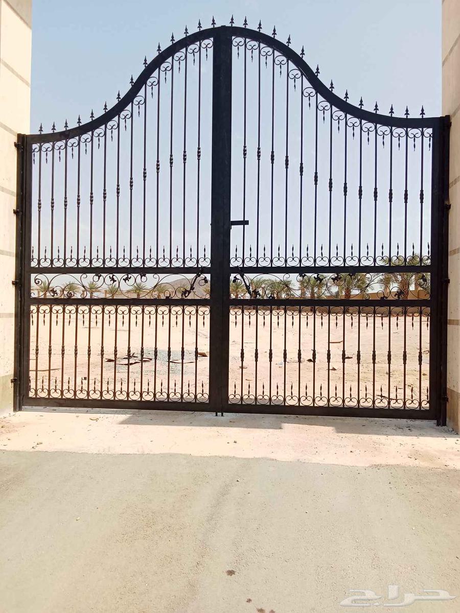 رضوان حفيظ حداد باكستانى64178836083331110