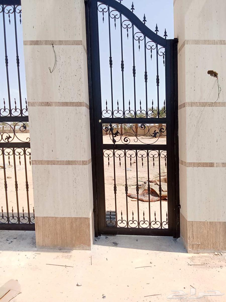 رضوان حفيظ حداد باكستانى64178836083331111