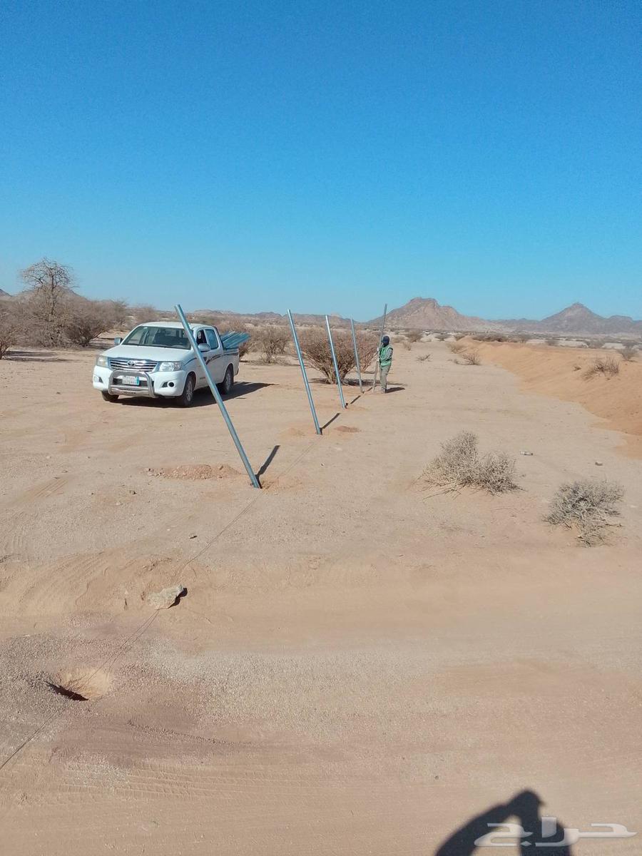 شبوك مزارع64179048777218113