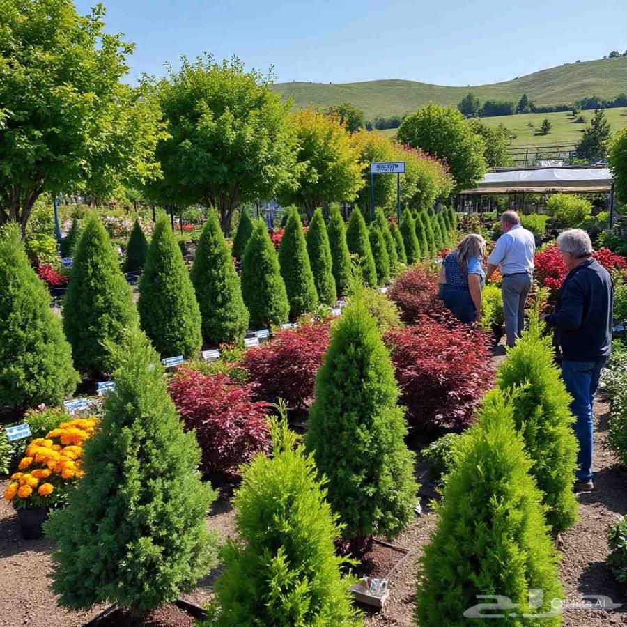 تنسيق حدائق وبيع الأشجار64179050988417112