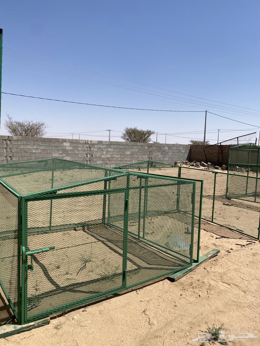 Clean 2x2 mesh never used64551104840321110