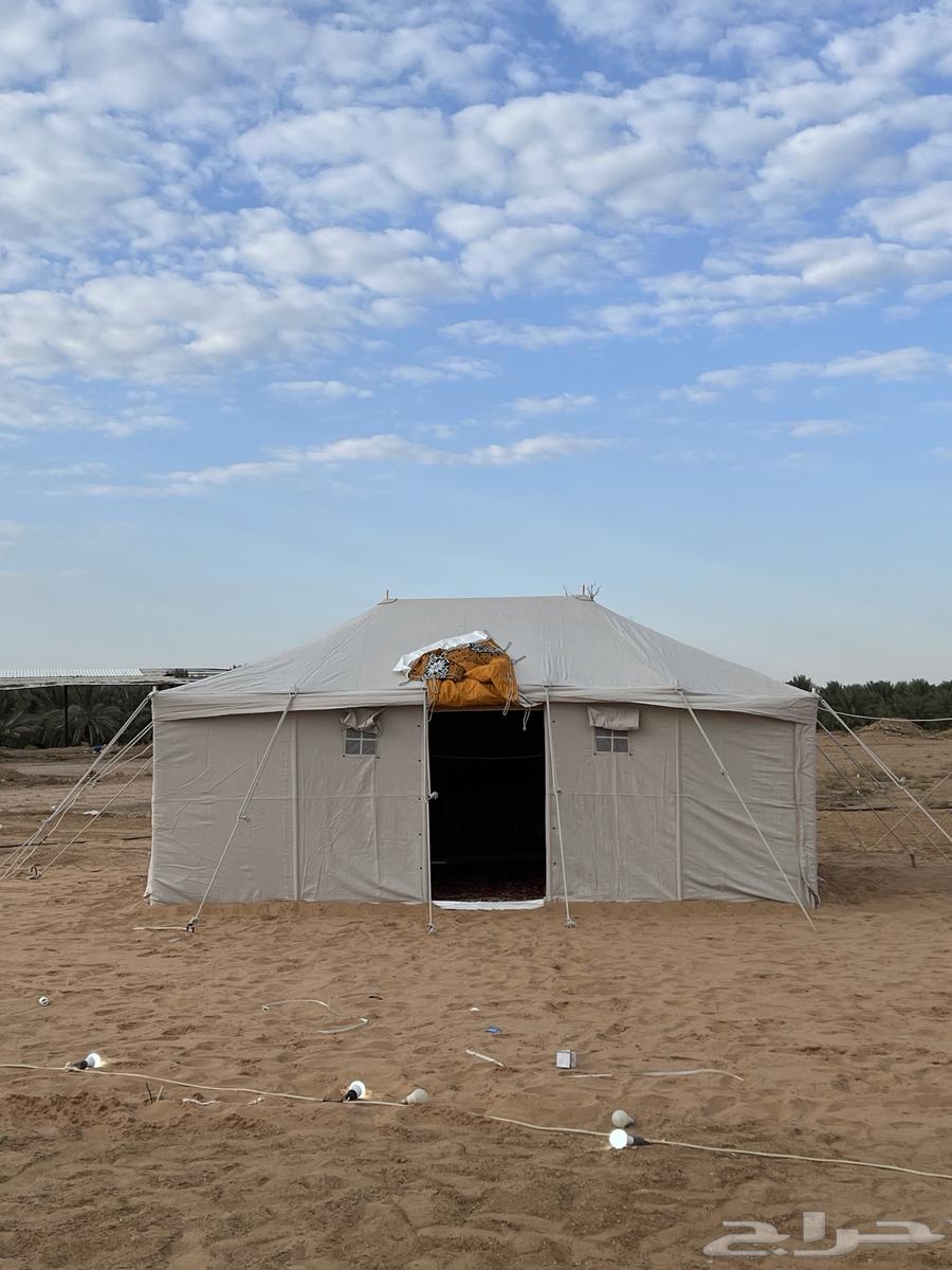 بيوت شعر حيام64178205126913114