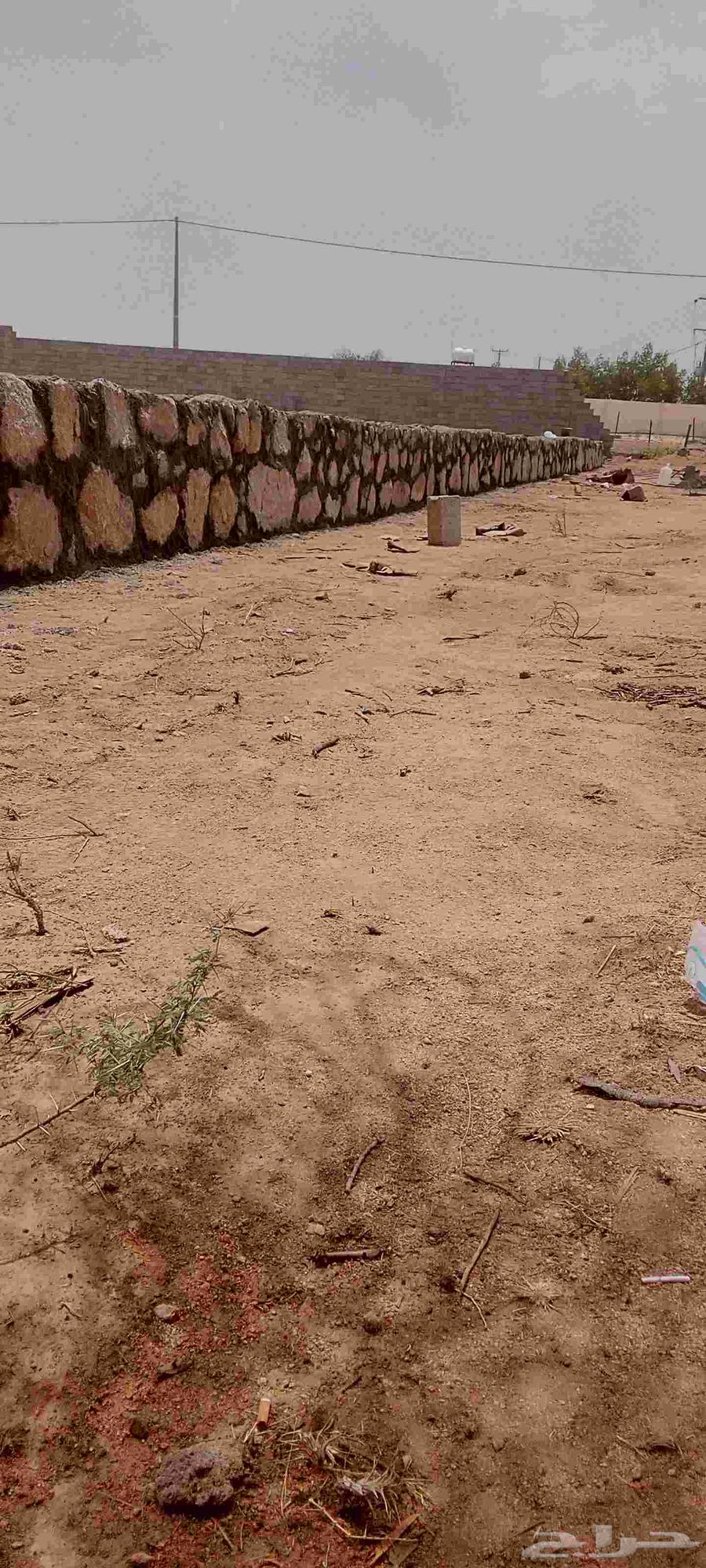 معلم حجر رباريب تلبيس64179450687105111