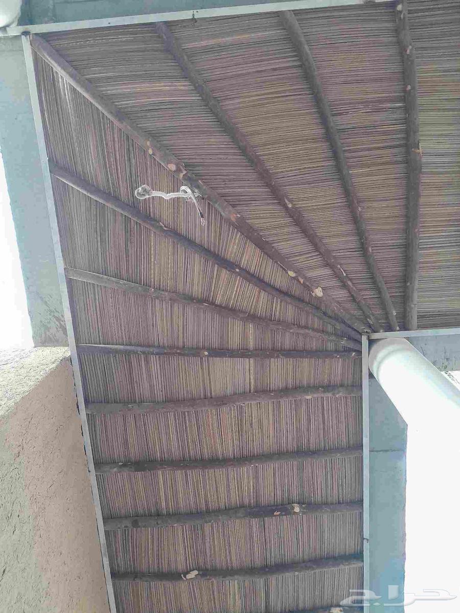 لاعمال التراث مباني تراثيه مساجد مجالس ترميم البيوت القديمه64178623033474112