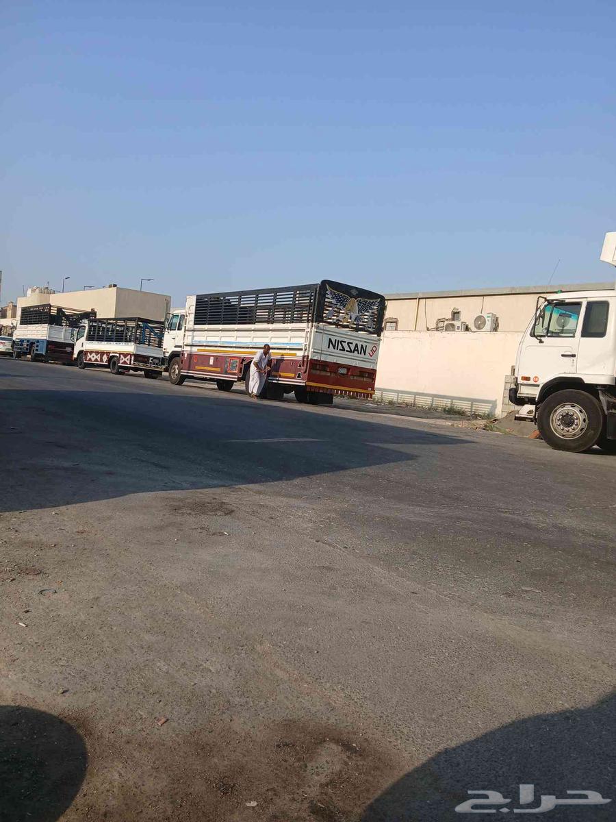 دينا نقل من الدمام64179048413827110