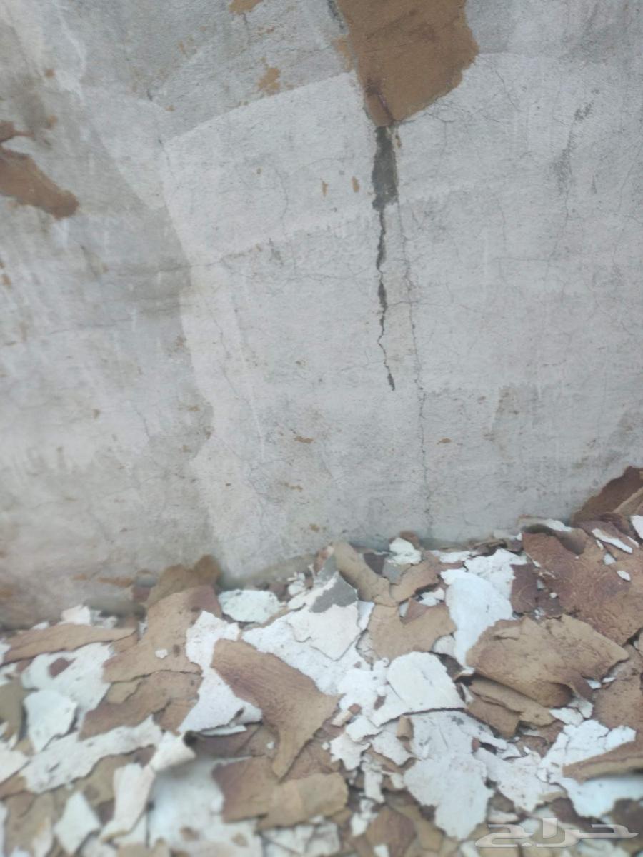 معلم باكستاني تحريك بويه64179050060033110