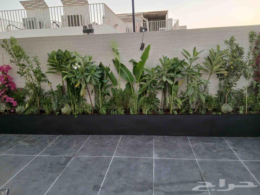 Green Nibta Nursery64179448677377111
