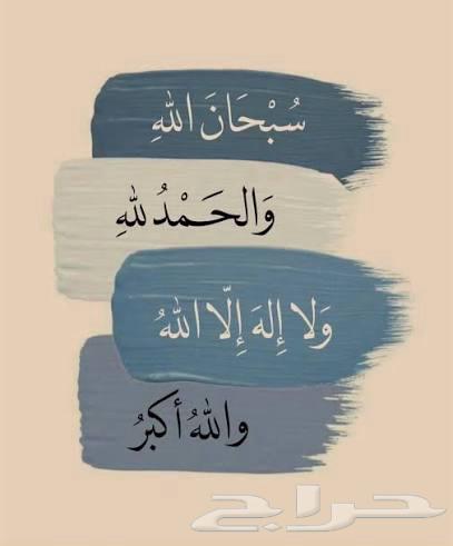 ابحث عن شقة صغيرة للايجار في حي المروج او المصيف64153049097729110
