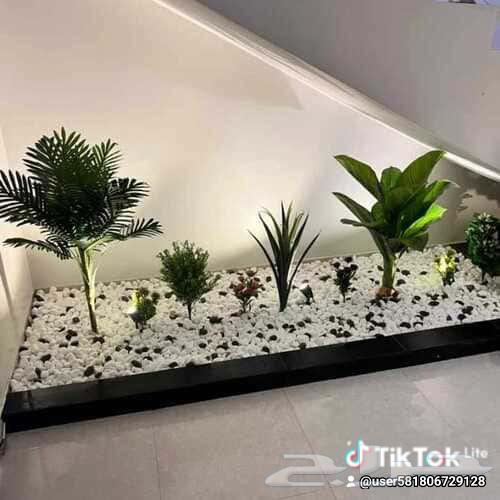 منسق حدائق برياض64179050123393114