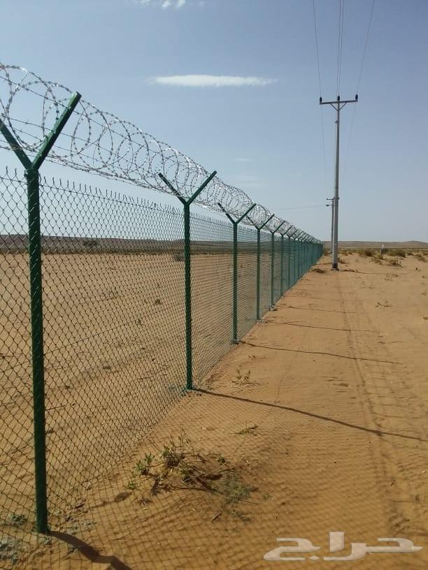 شبوك مزارع64179048777218112