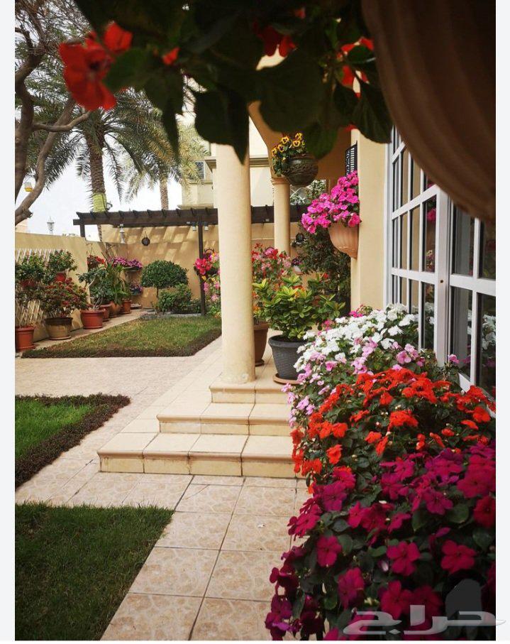 تنسيق حدائق وبيع الأشجار64179050988417110