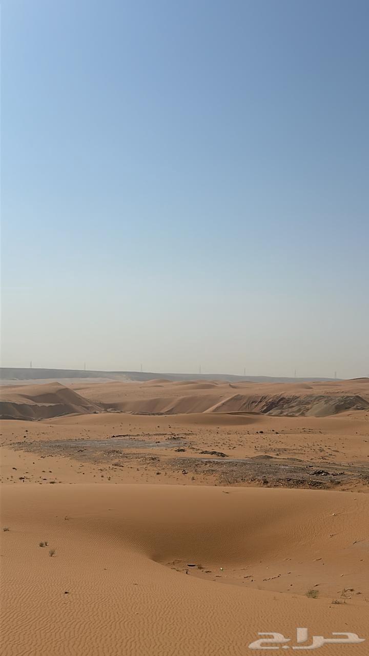 شبوك مزارع64179048777218111